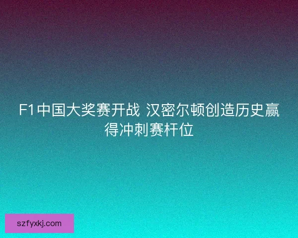 F1中国大奖赛开战 汉密尔顿创造历史赢得冲刺赛杆位