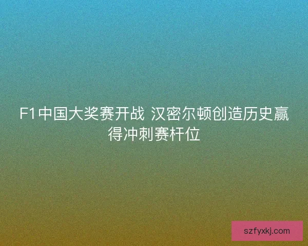 F1中国大奖赛开战 汉密尔顿创造历史赢得冲刺赛杆位
