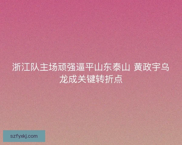 浙江队主场顽强逼平山东泰山 黄政宇乌龙成关键转折点